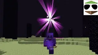We Killed the Ender Dragon Without Telling Anyone...