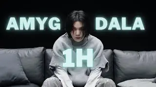 1 HOUR of 