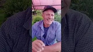 #улыбнись