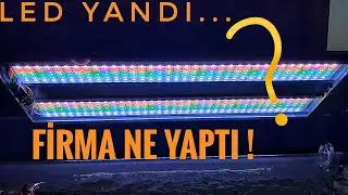 BİTKİLİ AKVARYUM LED'İM YANDI! 
