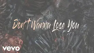 Gloria Estefan - Don't Wanna Lose You (Audio)
