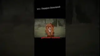 идея из ТТ , видео мое ! #возрадимрукв #котывоители #warriors #кв  #огнезвезд #плохаясторонаОгнэ