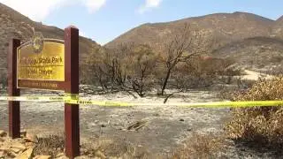 After the Camarillo Springs Fire - Ray Miller #2
