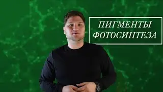 ЕСТЕСТВОЗНАНИЕ 5 КЛАСС  ПИГМЕНТЫ ФОТОСИНТЕЗА
