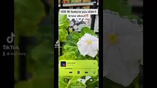 iOS 16 feature you didn’t know about‼️ part 8❗️🎵 #shorts  #tiktok  #fyp  #reels