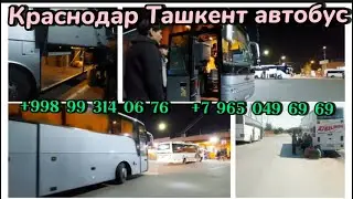 Краснодар Ташкент автобус прямой рейс 2023,КРАСНОДАР-ТАШКЕНТ,Ростов Ташкент автобус
