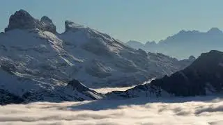 Howling in the Fog 