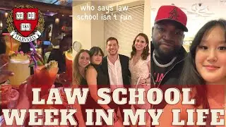 Harvard Law School Vlog: thoughts on my classes + the HLS writing credit requirement | ft. dossier