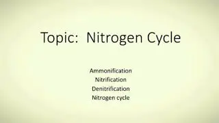 Nitrogen Cycle:  Ammonification, Nitrification, Denitrification and Nitrogen Cycle.