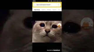 Я покидаю канал на месяц 😿😿😿😿