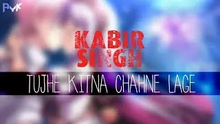 KABIR SINGH - TUJHE KITNA CHAHNE LAGE | AYK Remix