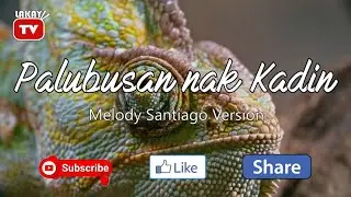 Palubusan nak Kadin | ILOCANO KARAOKE | HD VERSION