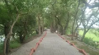 Vedanthangal Birds Sanctuary