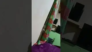 tsismosang aso