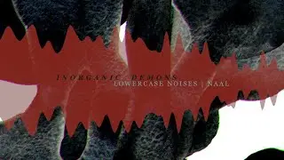 Lowercase Noises | NAAL - Inorganic Demons (Official Visualizer)