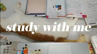 Study With Me Live /Pomodoro 50/10 /Rain Sounds 133