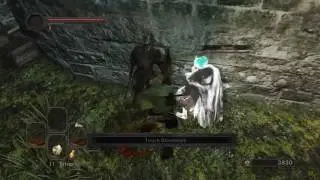 Dark Souls 2 W/ Hudson: the verbal shitposting begins! [Episode 1]
