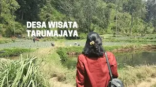 Digital Marketing Desa Wisata Tarumajaya - Design Thinking Telkom University