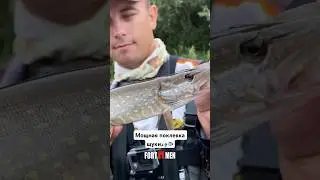 #fortmen #рыбалка #fishing #рыбалка2024 #неман #щука