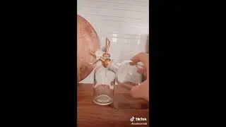 Amazon Kitchen Must Haves TikTok Compilation with LINKS! Home Organization Tic Tok Cooking Hacks