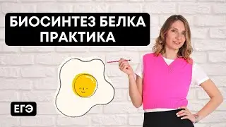 Биосинтез белка. Практика