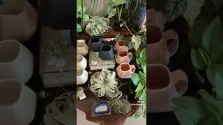 Cute Plant Shop In Bend, OR! #shorts #shorts2024