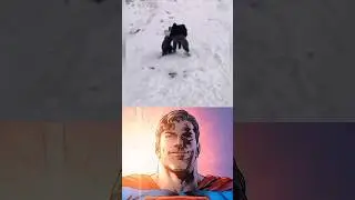 #starman #starmanmeme #superman #shorts