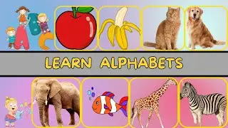 Learn Alphabets and Guess Things By Images #quiz #learning