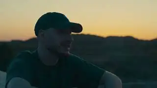 Шершень   Крила