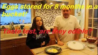 Egg storage without refrigeration. Experiment. Storing eggs in a bucket in living room for 8 month.