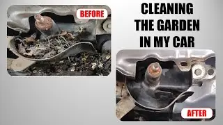 Cleaning the garden under my car's windshield cowl!