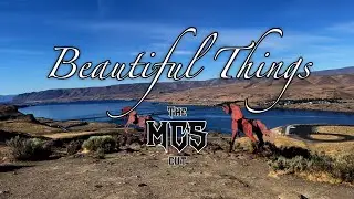 Beautiful Things -  The MCS 