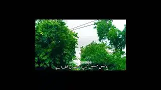 Rain Status| Tmhe dekhen meri ankhen | Poetry Status #edit #whattsappstatus