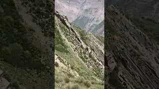 Паларинг Ёнахш Гашиён Гармов Нишов