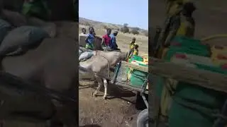 Soroma kemké sapon