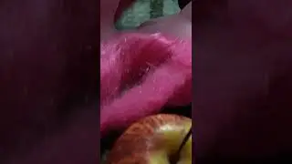 um pesadelo de pink pei