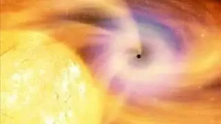 Blackhole - Lagomorphic