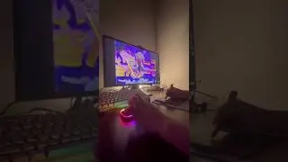 osu player theme song 