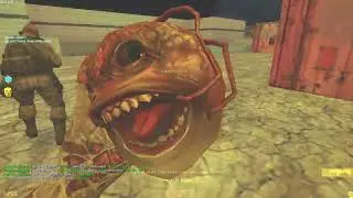 NEW SERVER | 500 FPS | ze blackmesa on  DeathClaws