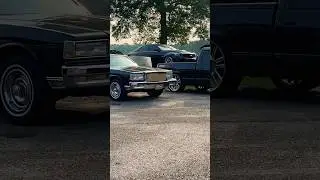 All Black Fleet over 250k #f350 #chevy #arkansas #forgiato #audi #impala