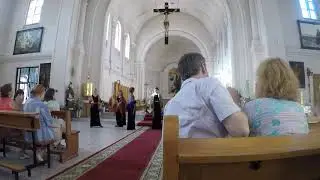 Рнп в обр. В. Гончарова 