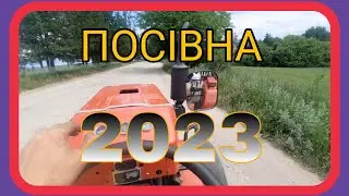 Посів гречки 2023 і на халтуру