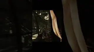 Юмор в Escape From Tarkov - Отдай, это моё  