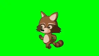 walking cute Raccoon cartoon stock green screen affects footage | part 01