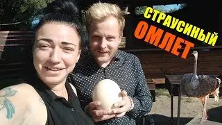 Готовим омлет с Юлей Чайкой /  ПАЦАНКИ НОВАЯ ЖИЗНЬ 2