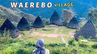Waerebo Village | Negri di Atas Awan