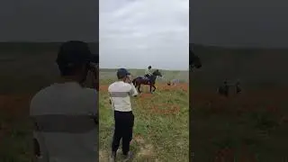 Yangi Andijon 