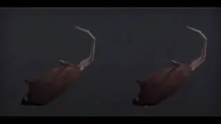 Rat: the sequel