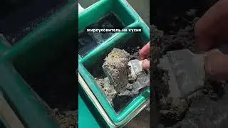 жироуловитель на кухне через пол года