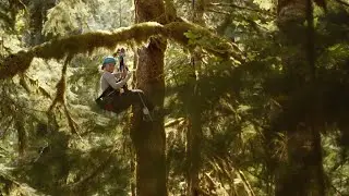 Epiphytes of Olympic National Park
